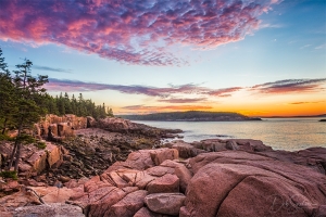 Acadia Coastal Sunrise Acadia National Park Maine