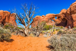Arches_National_Park_with_Double_Arch_Utah