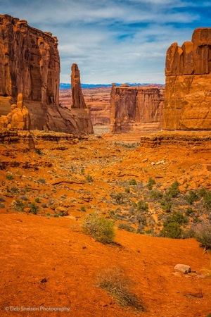 Park_Avenue_in_Arches_National_Park_Utah