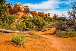 The_path_to_Broken_Arch_in_Arches_National_Park_Utah
