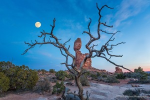 Twilight_Framing_of_Balanced_Rock_Arches_National_Park_Utah