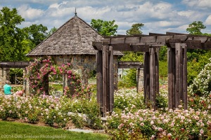 Lewis-Ginter-Rose-Gardens
