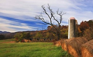 Nelson-County-Fall-Hay-Silo-Virginia