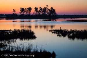 Predawn-Dawn-Chincoteague-Island-Assateague-National-Wildlife-Refuge-Virginia-Eastern-Shore-Marsh-geese-silhouettes-tranquility