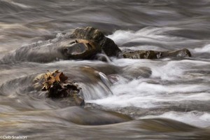 Ripples-Cowpasture-River-Fort-Lewis-Lodge-Bath-County-Virginia