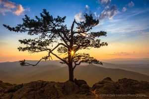 Sunburst-at-Ravens-Roost-Overlook-Blue-Ridge-Parkway-Virginia