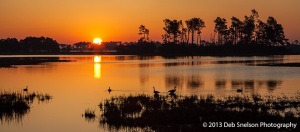 Sunrise-Chincoteague-Island-Assateague-National-Wildlife-Refuge-Virginia-Eastern-Shore-Marsh-geese-silhouettes-tranquility-golden