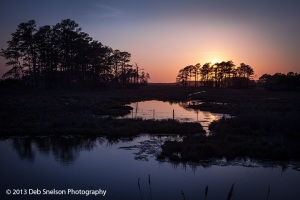 Sunset-Assateague-National-Wildlife-Refuge-Chincoteague-Island-Virginia-Eastern-Shore-Marsh-silhouettes-tranquility