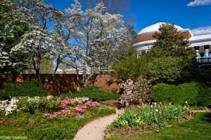 University-of-Virginia-Rotunda-spring-gardens