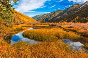 Beaver-Pond-in-the-Colorado-Rockies-Ashcroft