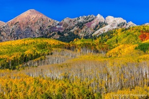 Kebler-Pass-Autumn-Color-Aspens-Colorado