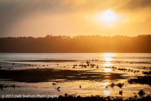 Butterscotch-Sunset-Assateague-National-Wildlife-Refuge-Chincoteague-Island-Virginia-Eastern-Shore-Marsh-silhouettes-tranquility