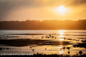 Butterscotch-Sunset-Assateague-National-Wildlife-Refuge-Chincoteague-Island-Virginia-Eastern-Shore-Marsh-silhouettes-tranquility