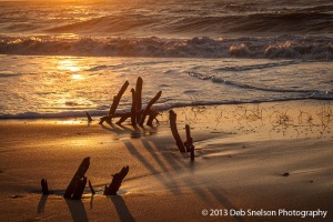 Golden-Sands-Assateague-Island-National-Seashore-sunset-Chincoteague-Island-Virginia-Eastern-Shore-Marsh-silhouettes-tranquility