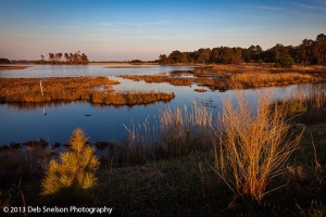 Marsh-at-Sunset-Assateague-National-Wildlife-Refuge-Chincoteague-Island-Virginia-Eastern-Shore-Marsh-silhouettes-tranquility