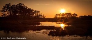 Sunset-Assateague-National-Wildlife-Refuge-Chincoteague-Island-Virginia-Eastern-Shore-Marsh-silhouettes-tranquility-Golden