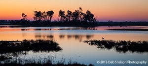 The-day-awakens-over-the-marsh-Assateague-Island-National-Seashore-Chincoteague-Island-Virginia-Eastern-Shore-Marsh-Seashore-tranquility