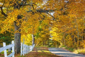 Autumn-Cloaks-Peacham-Vermont