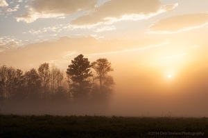 Fog-shrouded-sunrise-in-Peacham-Vermont