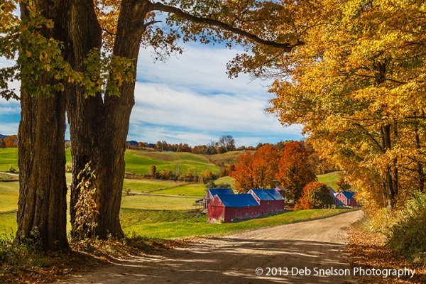 Autumn in Vermont