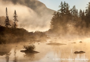Mist-Rising-at-dawn-at-Marshfield-Pond