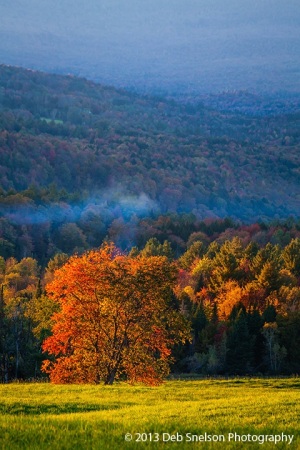 Sparrow-Hill-Farm-at-sunset-view-Vermont