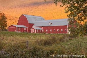 Sunlit-Fall-foliage-behind-Vermont-Barn