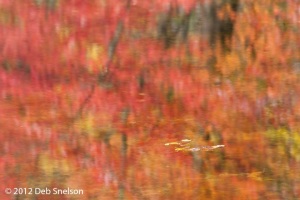1_Hidden-Lake-Delaware-Water-Gap-Pennsylvania-Dawn-Fall-foliage-reflection-October-2012-Autumn