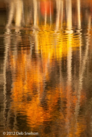 Bushmill-Delaware-Water-Gap-Pennsylvania-Fall-foliage-reflections-October-2012