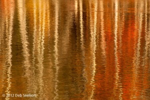 Bushmill-reflection-Delaware-Water-Gap-Pennsylvania-Fall-foliage-October-2012-Autumn