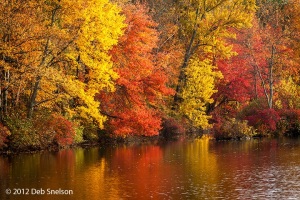 Hidden-Lake-Delaware-Water-Gap-Pennsylvania-Dawn-Fall-foliage-October-2012-Autumn-color