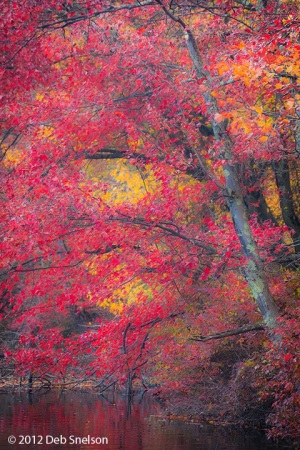 Hidden-Lake-Delaware-Water-Gap-Pennsylvania-Sunset-Fall-foliage-October-2012-Autumn-color