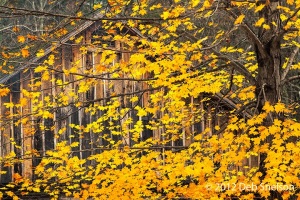 Millbrook-Village-Barn-Delaware-Water-Gap-New-Jersey-Fall-foliage-October-2012-Autumn-NJ
