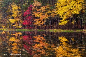 PEEC-pond-Delaware-Water-Gap-New-Jersey-Fall-foliage-October-2012-Autumn