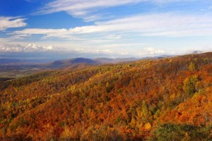 Shenandoah on My Mind