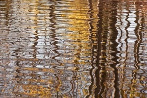 c46-Fall-Reflections-Cowpasture-River-Fort-Lewis-Lodge-Bath-County-Virginia-Autumn