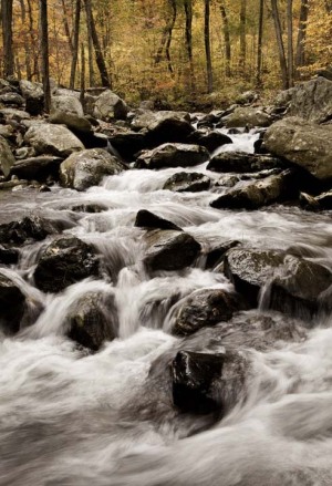 c57-White-Oak-Canyon-Autumn-Shenandoah-National-Park-SNP-Virginia