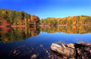 Autumn Splendor