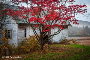 c71-Abandoned-Shed-Eshback-Farm-Delaware-Water-Gap-Pennsylvania-Fall-foliage-October-2012-Autumn-PA-2