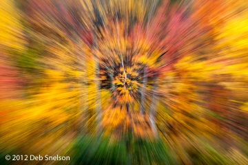 Hidden-Lake-Delaware-Water-Gap-Pennsylvania-Dawn-Fall-foliage-zoom-October-2012