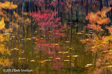 PEEC-pond-reflections-Delaware-Water-Gap-New-Jersey-Fall-foliage-October-2012-Autumn