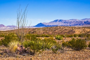Chihuahuan_Desert_Big_Bend_Park_Texas