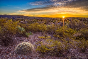 Chihuahuan_Desert_Sunrise_Big_Bend_Park_Texas