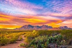 Big Bend National Park