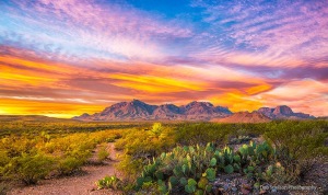 First_Light_on_Chisos_Mountains_Big_Bend_National_Park