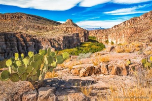 Hot_Springs_Canyon_and_Rio_Grand_Big_Bend_Park_Texas
