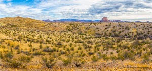 Nugent_Mountain_and_Chihuahuan_Desert_Big_Bend_Park_Texas