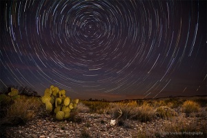 Star_Trails_at_Dugout_Trails_Big_Bend_Park_Texas