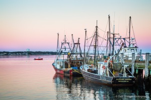 MacMillan-Wharf-Fishing-Vessels-Provincetown-Cape-Cod-Massachusetts