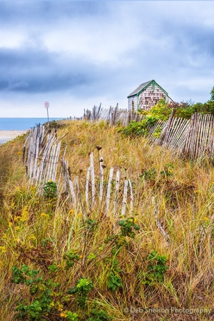 Sand-Fences-Chatham-Forest-Beach-Cape-Cod-Massachusetts-